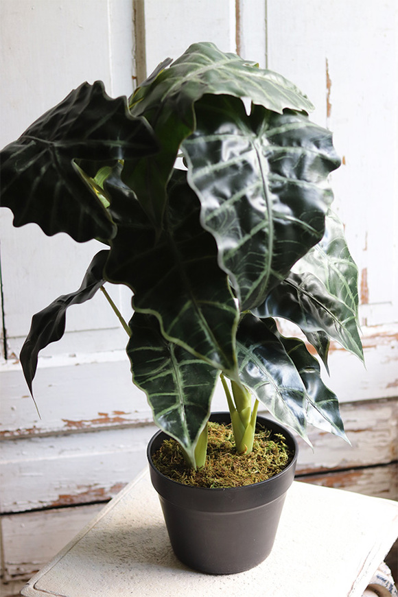 Filodendron, sztuczna roślina doniczkowa, wys.62cm