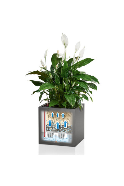 Cube Premium, doniczka z nawadnianiem, antracyt