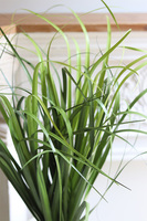 Avanti, sztuczna trawa