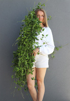 Barwinek, bardzo długa girlanda 5metrowa do dekoracji