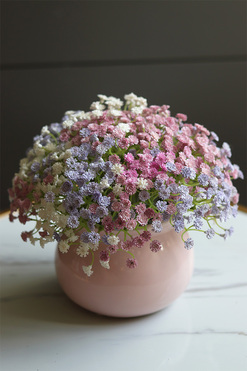 Kaszka Pastelowa Pink, kompozycja kwiatowa w naczyniu, wym.20x20cm 