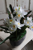 Narcyzy, kompozycja z wiosennych kwiatów, wys.40cm