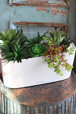 Lechuza Simple, minimalistyczna kompozycja z sukulentów w eleganckiej donicy, wym.28x40cm