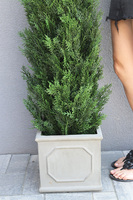 Tuja Grigio, sztuczna roślina w doniczce