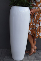 Premium Orchid, elegancki storczyk w wysokiej donicy