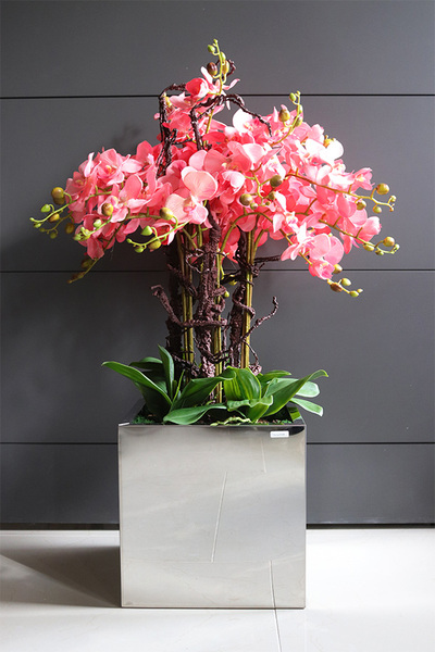 ekskluzywny storczyk w stalowej donicy, Koralovy Mirror Cube