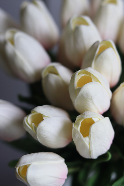 Menato Tulips, bukiet kwiatów w wazonie