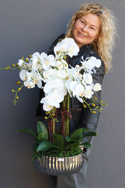 Befrao Silver, biały storczyk w srebrnej misie, wys.66cm