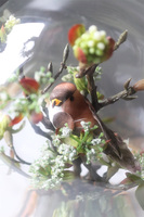 Meria, kompozycja kwiatowa pod kloszem