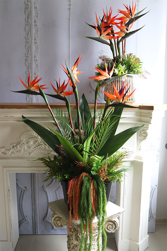 Strelicja Exotic Red, kompozycja do twojej donicy