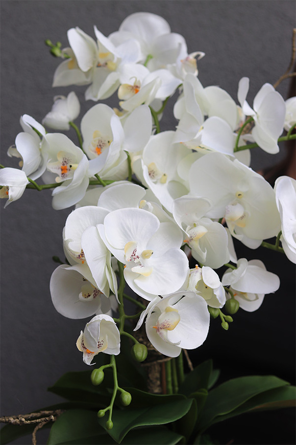 Melona, sztuczny storczyk w szarej osłonce