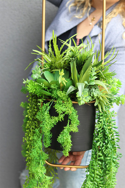 OD RĘKI Green Office, kompozycja sukulenty w wiszącej donicy, wys.110cm