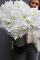 Amarylis Bulla, świąteczny bukiet kwiatów w wazonie