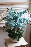  Jak w Niebie, storczyk w białej donicy, wys.54cm