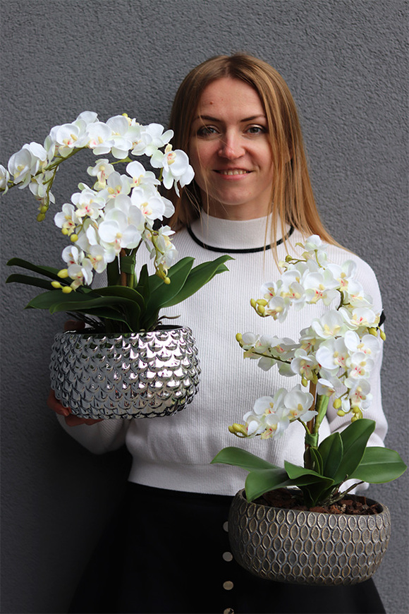 Silver Route, sztuczny storczyk w lustrzanej misie