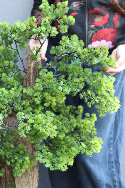 Bonsai Hand Made Gold, sztuczna roślina w złotej doniczce, wys.110cm