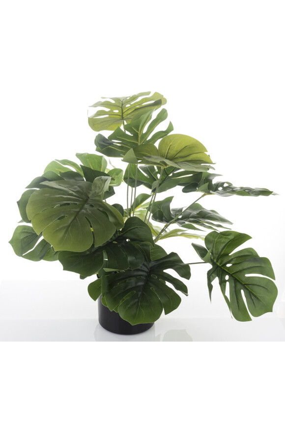Monstera A, sztuczne drzewko w osłonce / donicy, wym.50x55x55cm