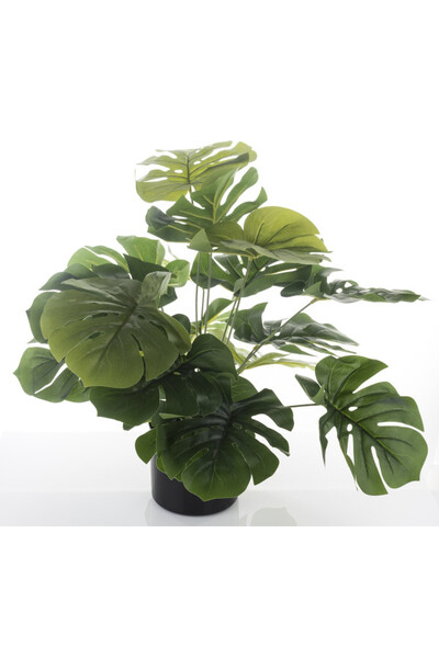 Monstera A, sztuczne drzewko w osłonce / donicy, wym.50x55x55cm