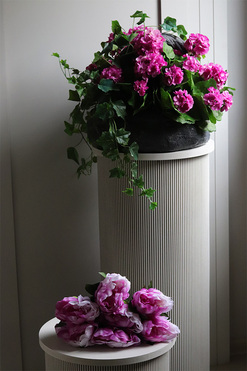 Pink Decore Volcan, różowe pelargonie w naczyniu, wys.43cm