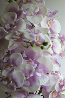 Lilac, wysokiej jakości sztuczny storczyk, wys.74cm