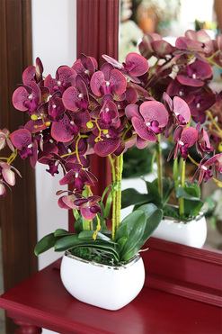 Glamour Felinato, fioletowy gumowy storczyk,wys.60cm 