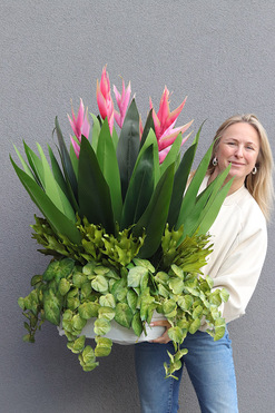 Helikonia Saute Round, kompozycja kwiatowa do Twojej donicy, wys.90cm