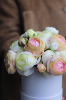 Helina Lucca, flowerbox z pełnikami