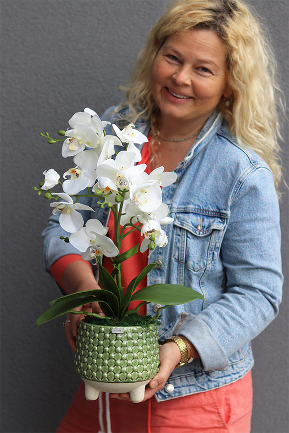 Turtle, sztuczny storczyk w zielonej osłonce