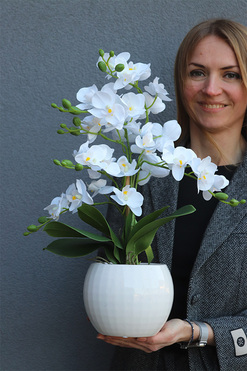 Bielle Pexel, sztuczny storczyk w białej donicy, wys.49cm