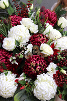 Ruberina Extra, kompozycja nagrobna w ceramicznej misie, dł.136cm