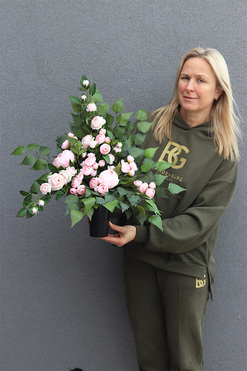 Angielska Róża, bukiet nagrobny we wkładzie do wazonu, dł.59cm