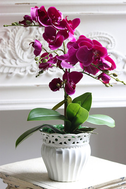 Redute Fuksja, sztuczny storczyk w ażurowej donicy, wys.46cm 