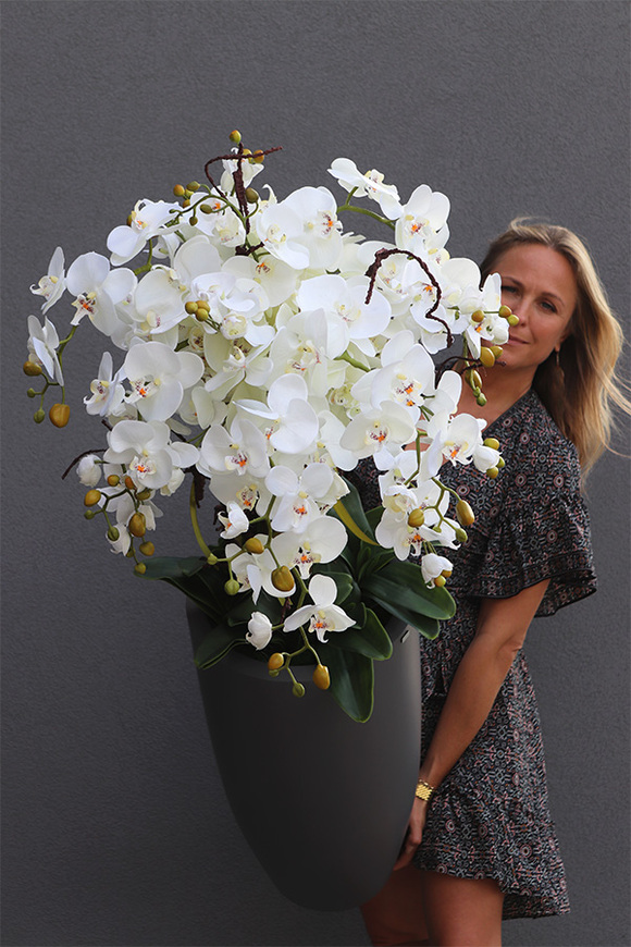 Fiberglass Grande Gray, storczyk w szarej donicy