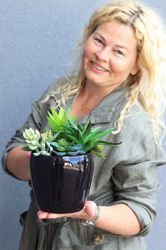 Black Medila, kompozycja sukulenty w donicy