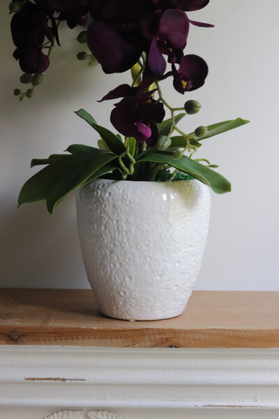 Purple Belia , fioletowy sztuczny storczyk w donicy