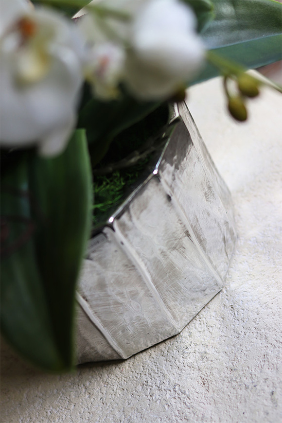 Klaudiusz, elegancki storczyk w srebrnej donicy, wys.60cm