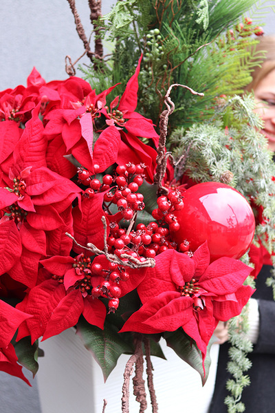 Amarylis Mediolan Winter, świąteczna dekoracja podłogowa
