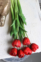 bukiet tulipanów silikonowych, Maggio Red, 6szt. dł.46cm
