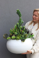 Esperanza Cacti 3 Fiberglass, sukulenty z kaktusem w białej donicy