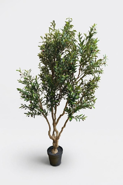 Oliwka Premium 2, sztuczna roślina drzewko oliwne, wys.220cm