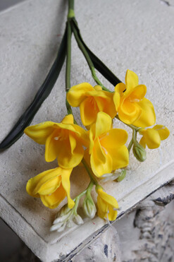 Frezje, gumowe sztuczne kwiaty, gałązka żółta, dł.55cm