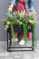 Asia Modern Resato 2, sukulenty w donicy na stojaku