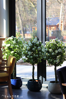 Azalia, sztuczna roślina w doniczce