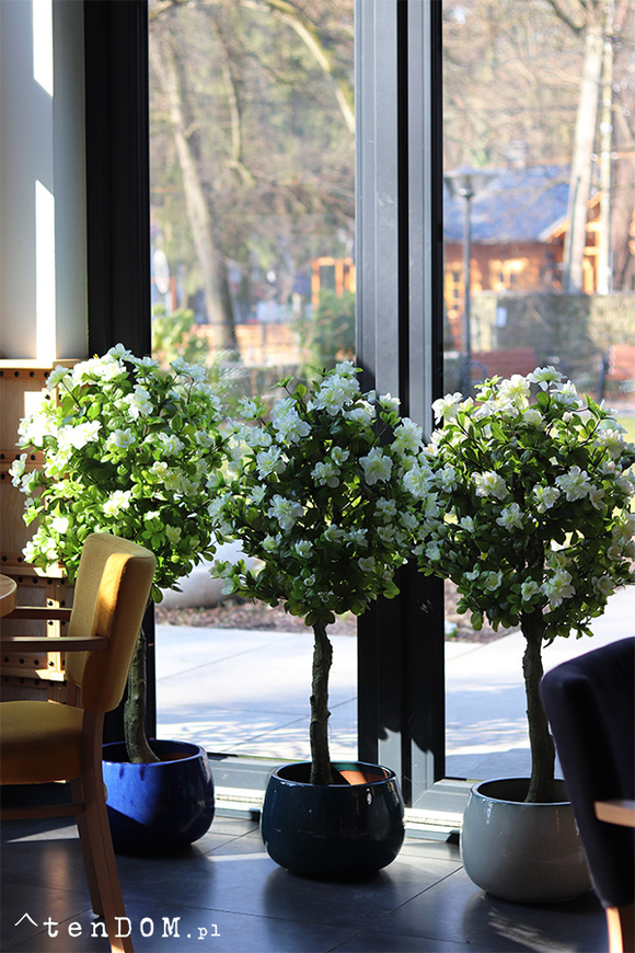 Azalia, sztuczna roślina w doniczce