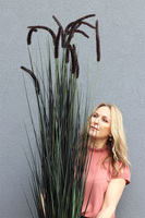 Black Moment, sztuczna czarna trawa w srebrnej donicy