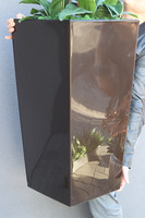 Chocolate Mediolan Grande 2, duży storczyk w wysokiej donicy