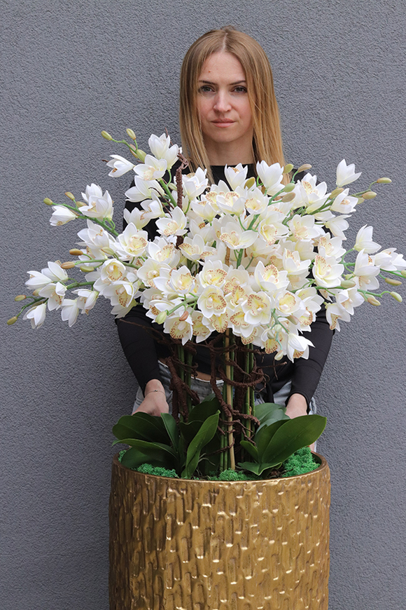 Golden Palace Cymbydium, wysoki storczyk podłogowy