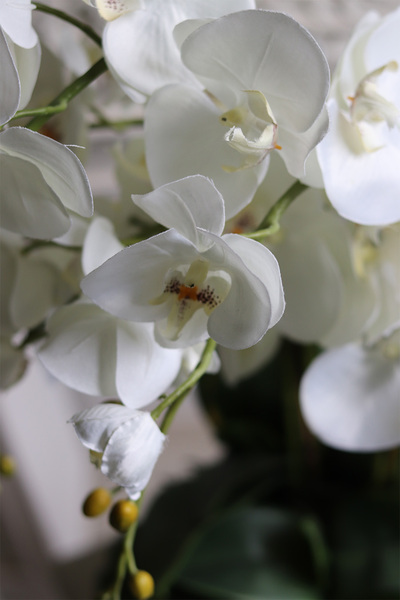 Pióra, storczyk w ceramicznej misie