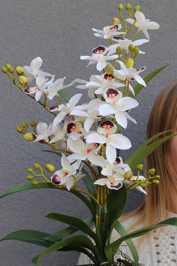 Etnicity, sztuczny storczyk w doniczce