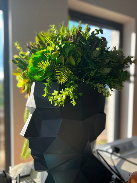 Adonis Head, nowoczesna dekoracja zielona w głowie